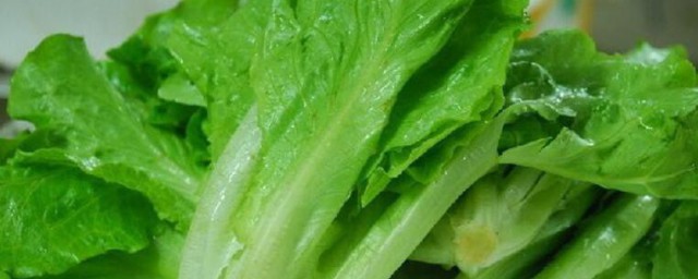 生菜有哪些功效与作用 生菜有什么功效与作用