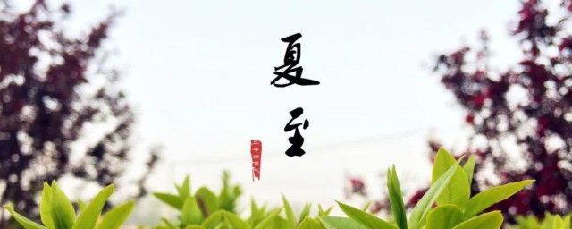 夏至是什么意思吃什么 夏至意思是什么吃什么食物