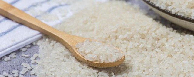大米为什么会生虫 大米生虫的原因分析