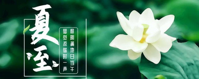 夏至吃什么蔬菜 适合夏至吃的蔬菜简介