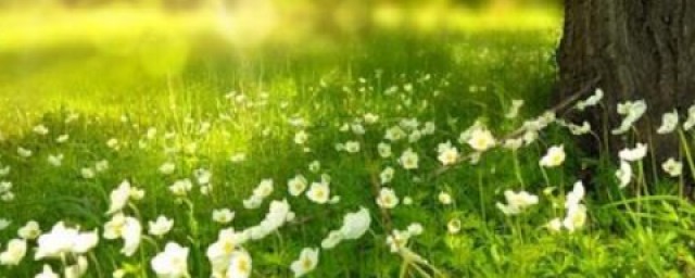 立夏跟夏至是什么意思 二十四节气的作用