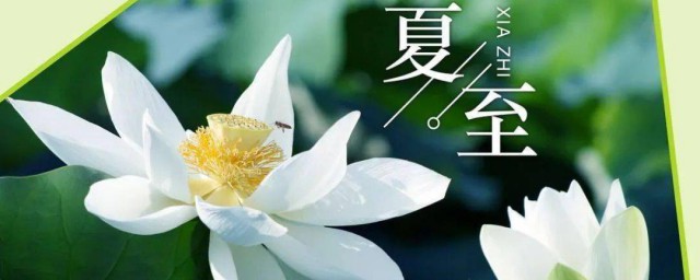 夏至日和夏至的区别 夏至日和夏至有什么区别