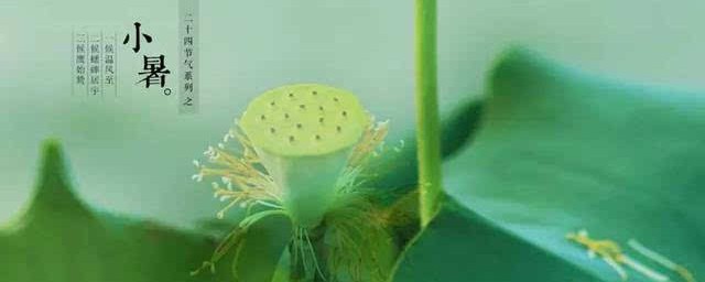 小暑节气特点简介 小暑节气有什么特点呢