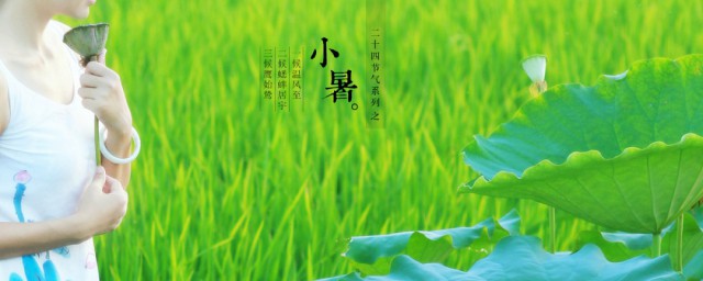 小暑是夏季第几个节气 第几个节气 是小暑夏季