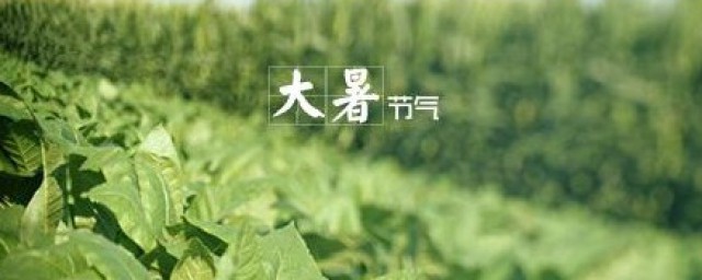 大暑吃谷意思 大暑是什么传统食物