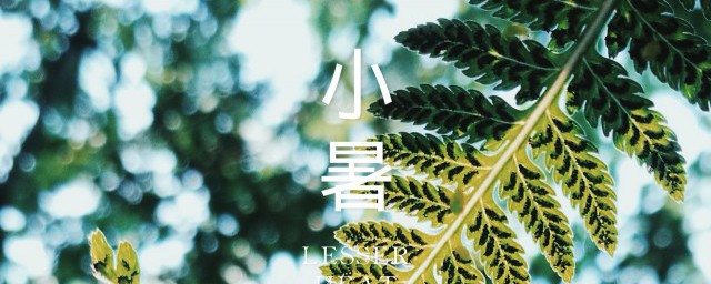 2023年小暑是几月几日 2023年小暑时间是几月几号