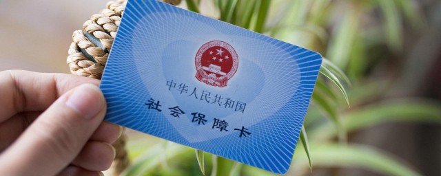 社保卡如何查 社保卡怎么查