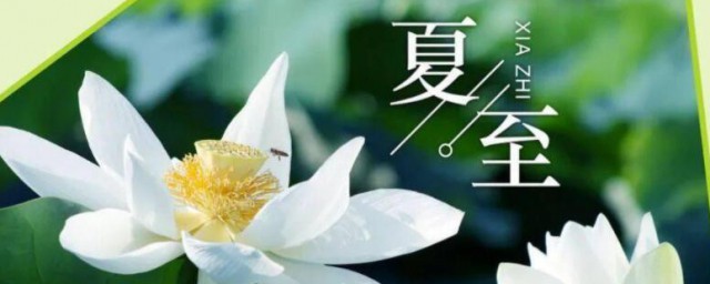 夏至节气简单介绍 夏至节气是什么