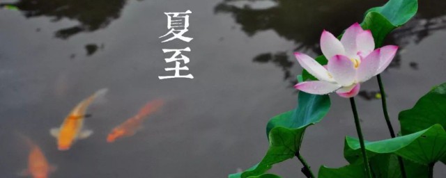夏至什么意思 夏至意思什么