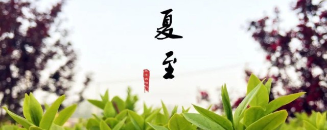 二十四节气夏至简介 二十四节气夏至简介是什么
