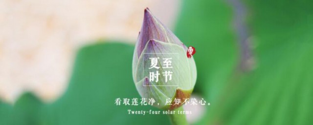 夏至是什么季节的节气 夏至简单介绍
