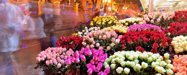 父亲节送花一般送什么花 父亲节送什么花好