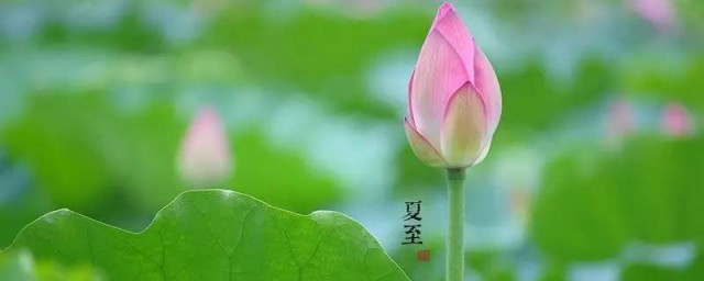 夏至节气的特点 关于夏至节气的介绍