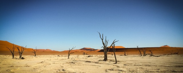 沙漠地区人口稀少的原因 人口稀少原因介绍