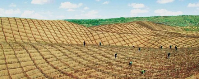 土地荒漠化主要分布地区 土地荒漠化主要分布地区介绍