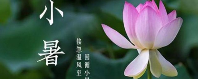 小暑的资料 小暑简单简介