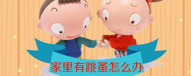 跳蚤如何去除 怎样去除跳蚤