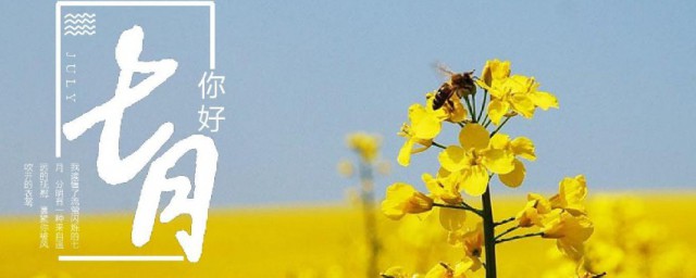 7月底文案 适合夏季朋友圈发的一句话