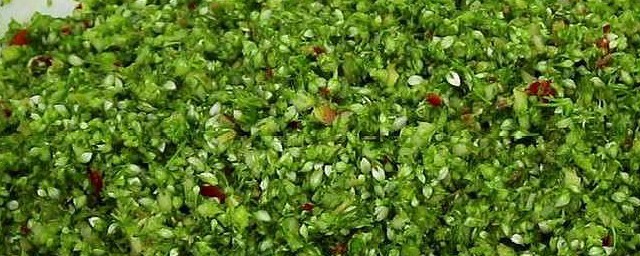 淹韭菜花的做法大全 怎么腌韭菜花