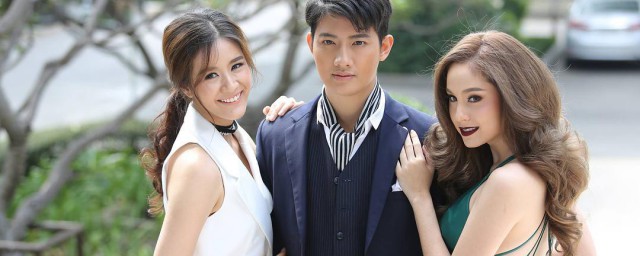 妻子的谎言演员表介绍 电视剧妻子的谎言有哪些演员