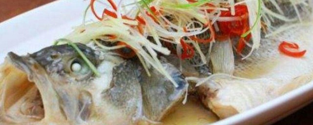 鲈鱼刺多吗 鲈鱼简单介绍