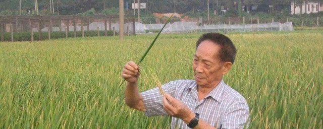 袁隆平介绍 袁隆平介绍是什么