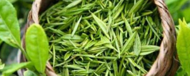比较常见的绿茶有哪些品种 比较常见的绿茶品种简单介绍