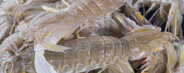 皮皮虾冷冻后能吃吗 皮皮虾冷冻后能不能吃