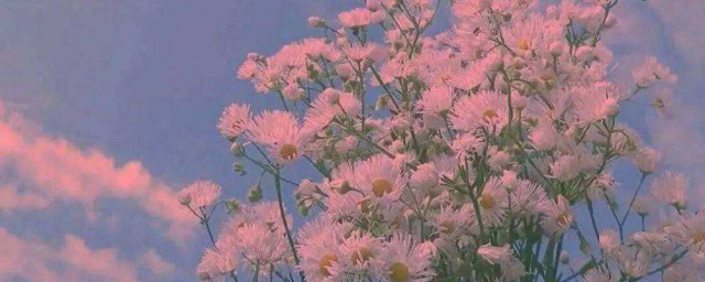 花店文案 花店专用文案