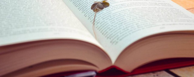 拥趸是什么梗 拥趸解释