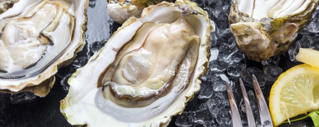 生蚝的做法大全家常 生蚝的烹饪方法