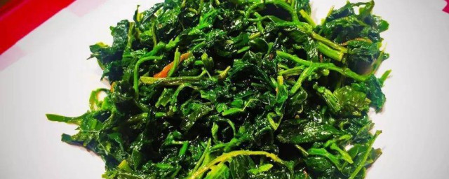 豌豆苗的做法大全家常 怎样制作豌豆苗