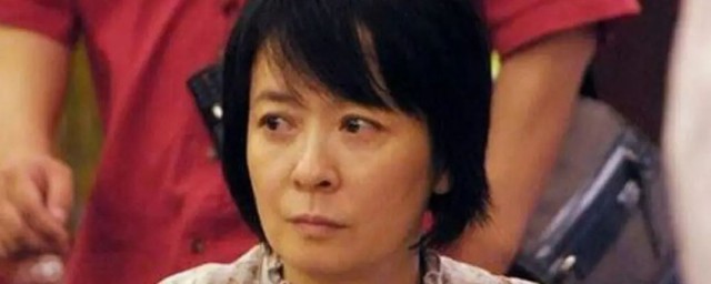 王京花个人资料 关于王京花的介绍