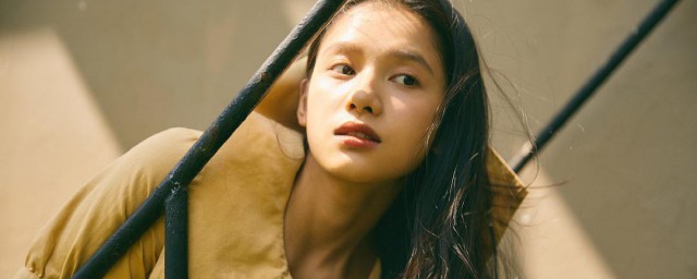 张婧仪个人资料 关于张婧仪的简介