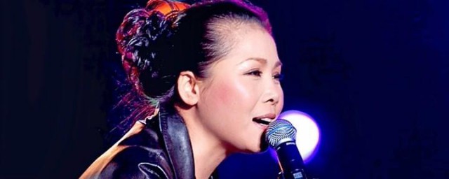 田震个人资料 田震的介绍是什么