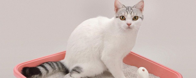 多久换次猫砂 猫砂多久换次
