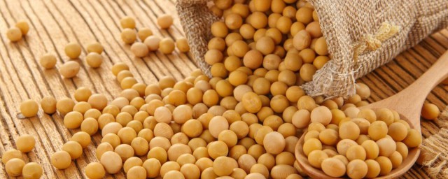 黄豆是什么梗 黄豆梗介绍