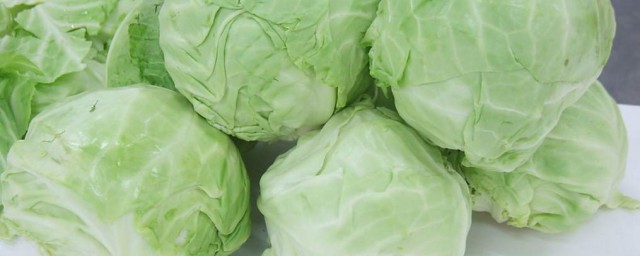 包菜腌制办法 如何腌制包菜