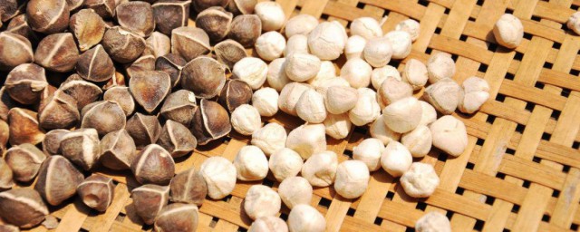 苏子籽的功效与作用及禁忌 苏子籽的功效与作用及禁忌是什么