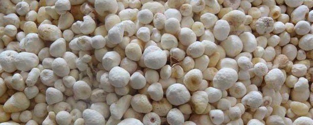 法半夏的功效与作用及禁忌 法半夏的功效和作用及禁忌