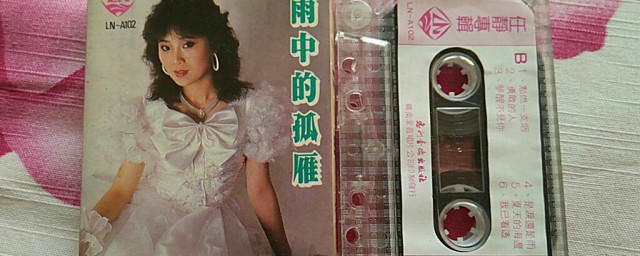 任静的个人资料介绍 任静演唱过哪些歌曲