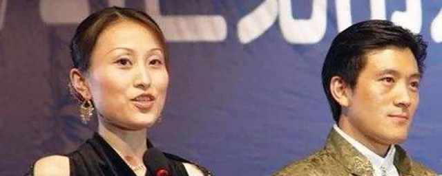 杨子前妻陶虹个人资料 关于杨子前妻陶虹简介