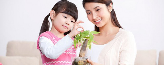 盆栽怎么种 花卉盆栽家族种植方法分享