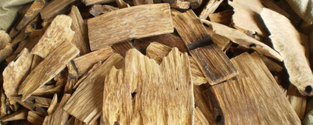 莪术的功效与作用及禁忌 莪术的功效与作用及禁忌有哪些