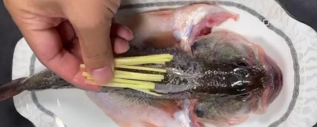 鲈鱼的功效与作用禁忌 鲈鱼的功效与作用禁忌有哪些