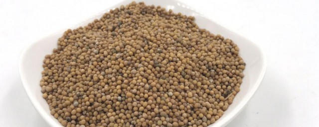白芥子的功效与作用及禁忌 白芥子的功效与作用及禁忌有哪些