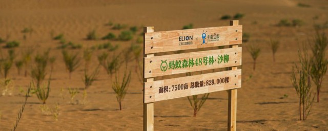 支付宝蚂蚁森林帮他复活是什么意思 支付宝蚂蚁森林帮他复活的解释