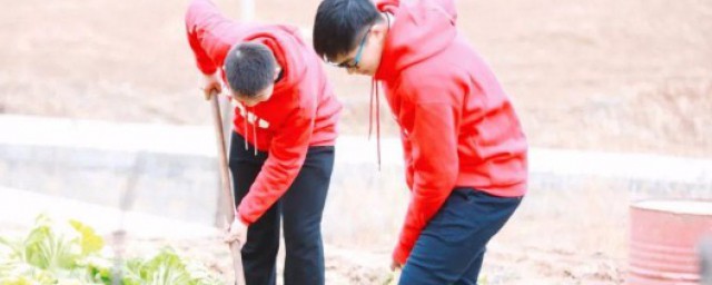 大学生怎么树立劳动观念 劳动节到底是什么节日