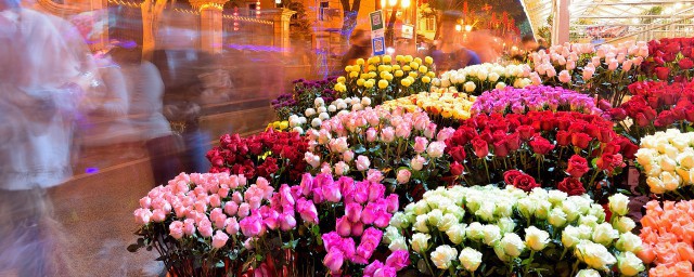 花店大量鲜花怎样保鲜 花店大量鲜花怎么保鲜