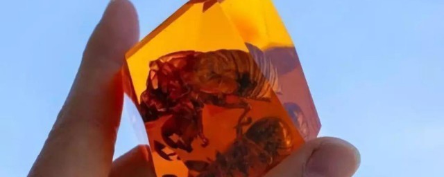 琥珀形成的条件有哪些 琥珀形成的条件介绍